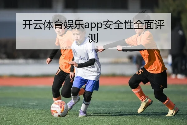 开云体育娱乐app安全性全面评测