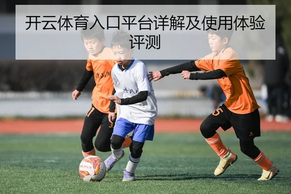 开云体育入口平台详解及使用体验评测